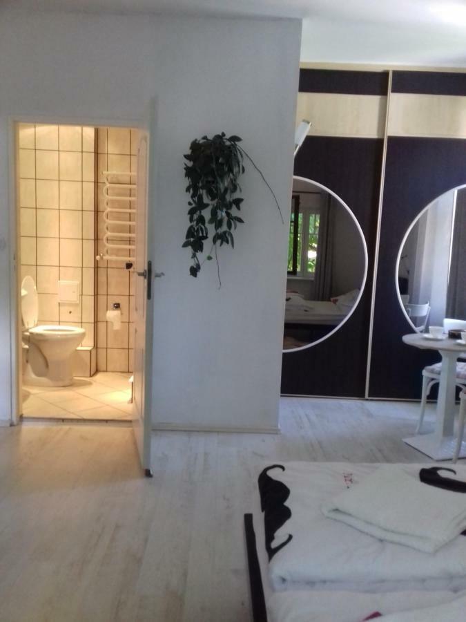 Bialy Apartament Поляниця-Здруй Екстер'єр фото